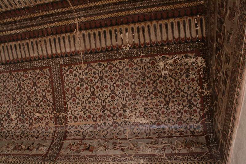 India & Nepal 2011 - 1066